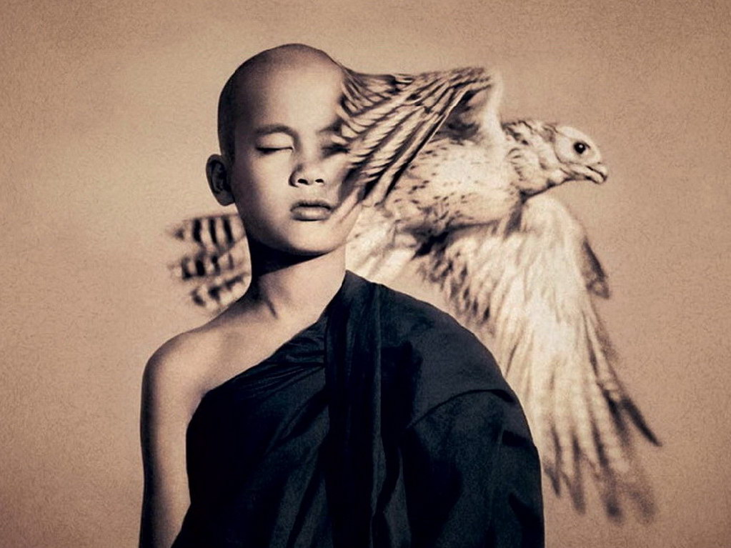 Croix de Lumière, Photo Ashes and snow No 17 