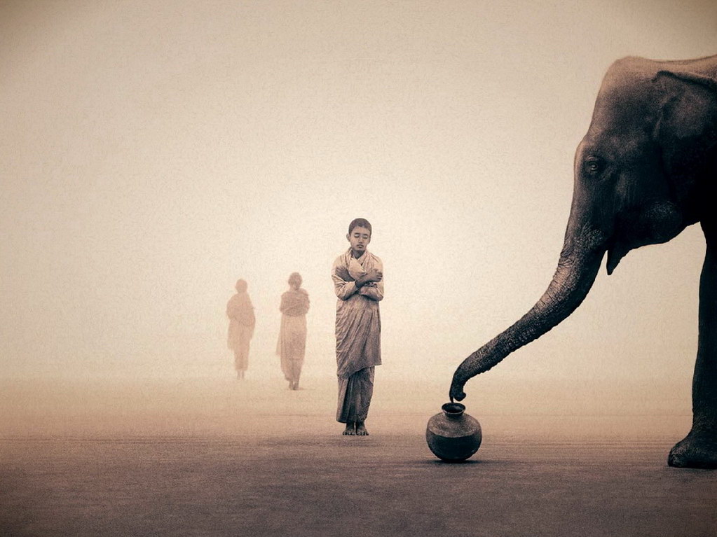 Croix de Lumière, Photo Ashes and snow No 21 