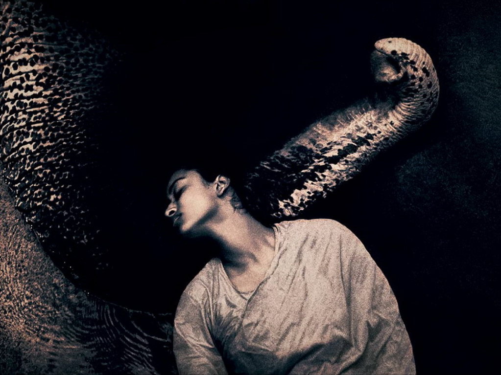 Croix de Lumière, Photo Ashes and snow No 22 