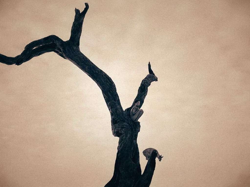 Croix de Lumière, Photo Ashes and snow No 23 