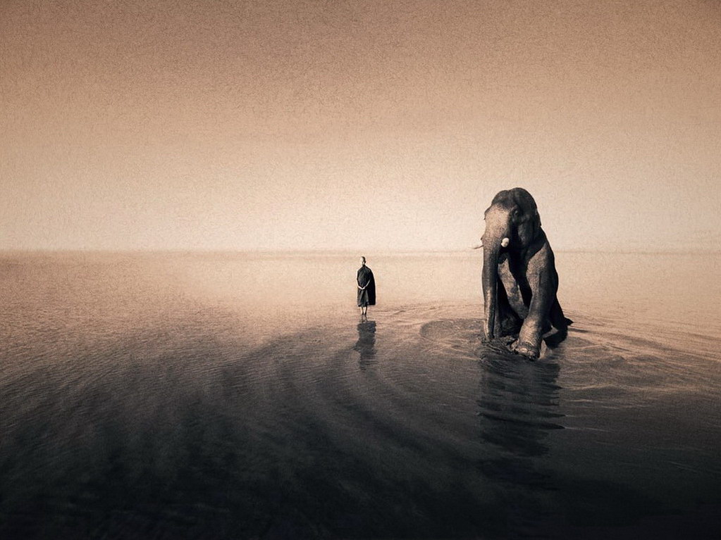 Croix de Lumière, Photo Ashes and snow No 25 