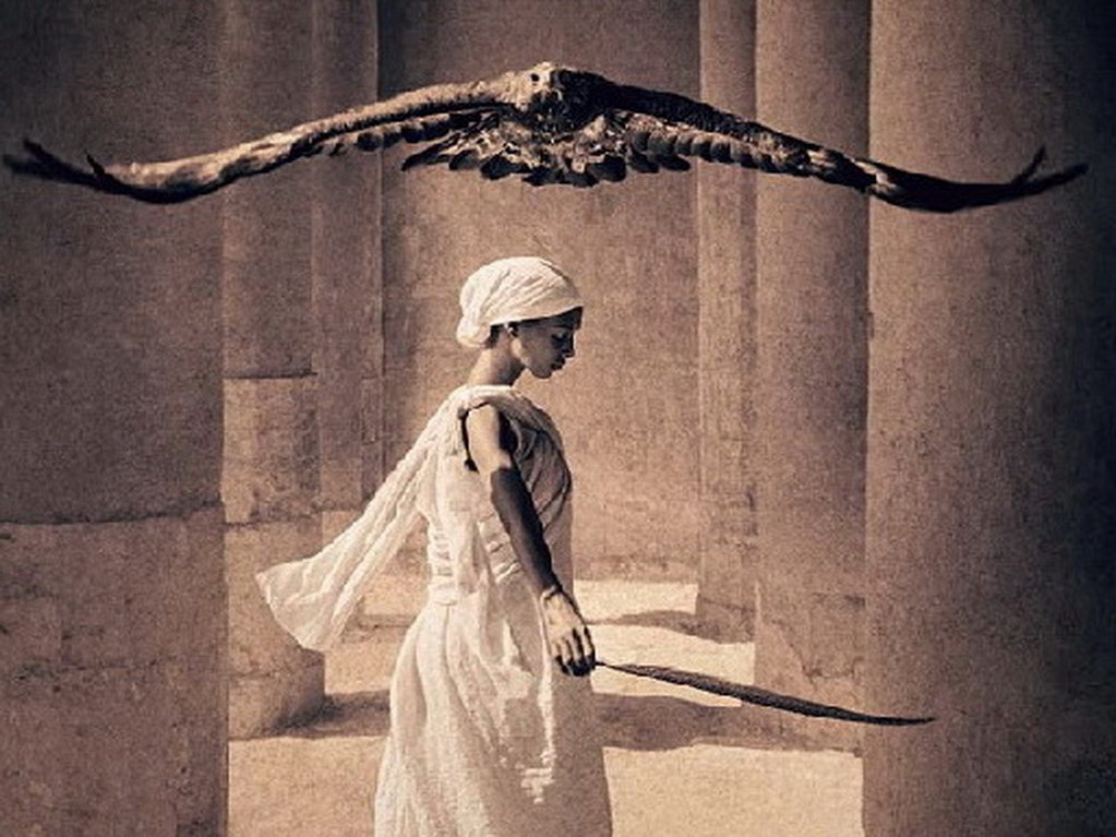 Croix de Lumière, Photo Ashes and snow No 26 