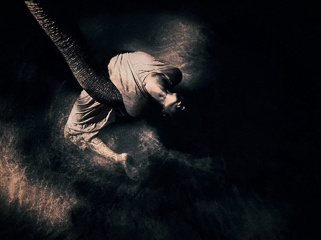 Croix de Lumière, Photo Ashes and snow No 27 