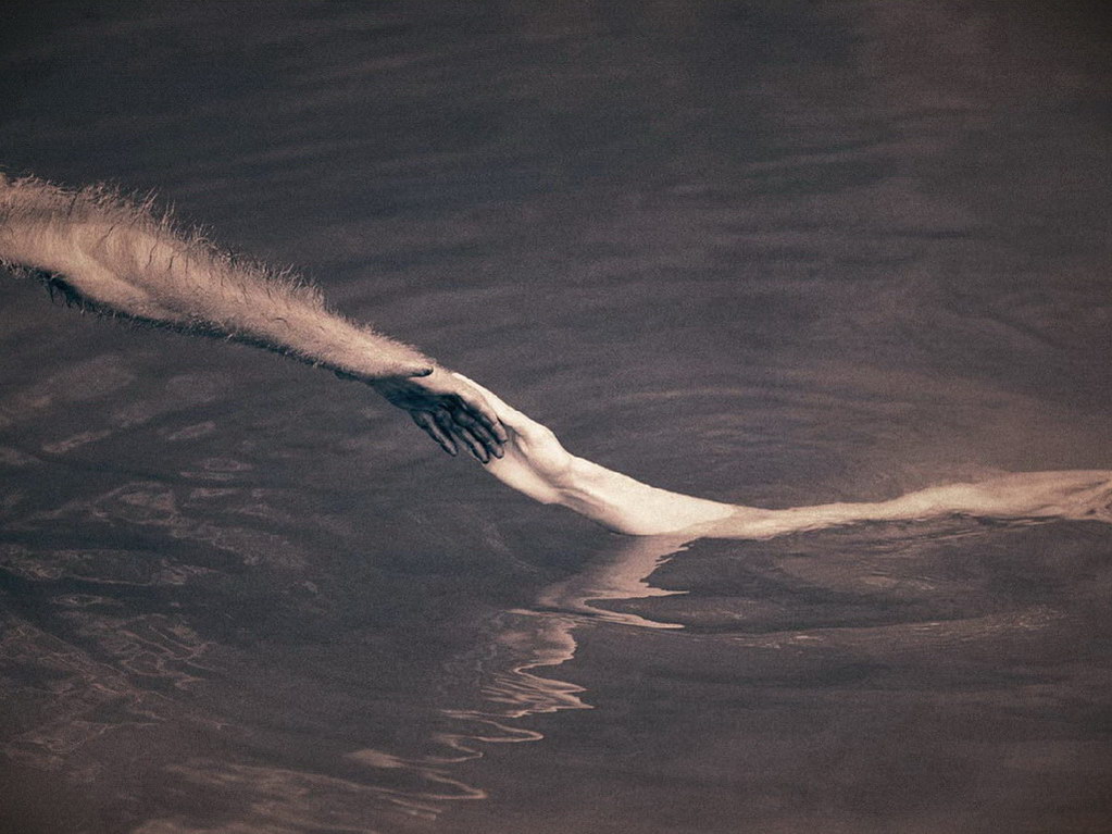 Croix de Lumière, Photo Ashes and snow No 32 