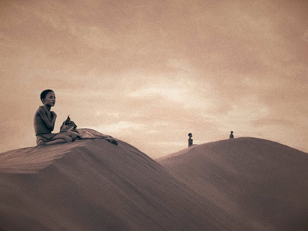 Croix de Lumière, Photo Ashes and snow No 33 