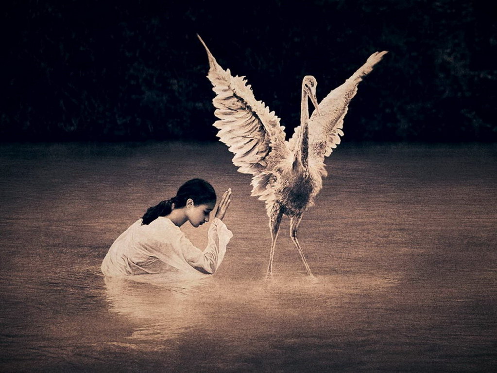 Croix de Lumière, Photo Ashes and snow No 35 