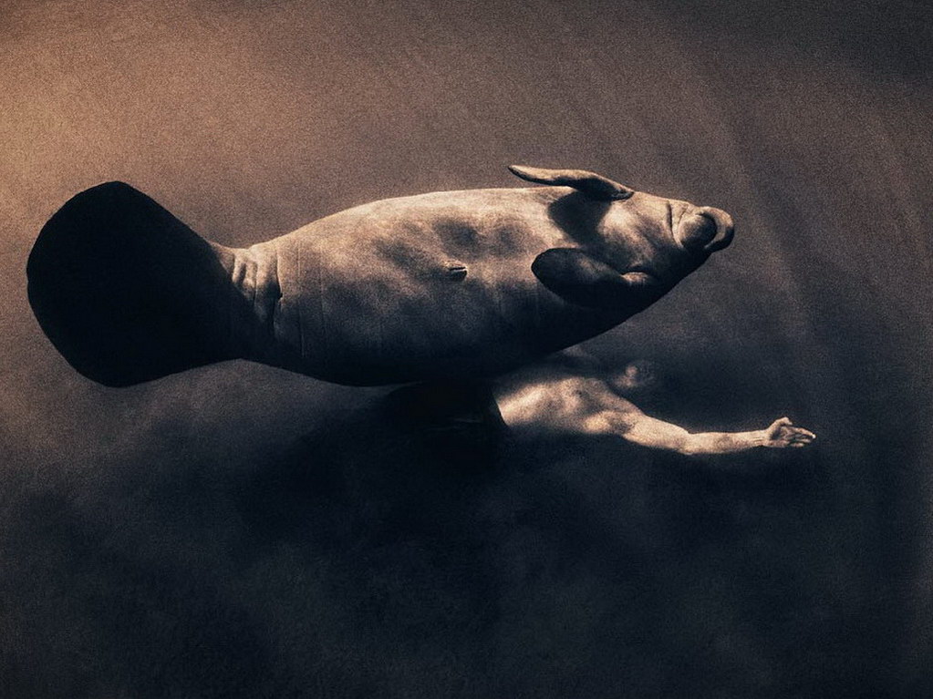 Croix de Lumière, Photo Ashes and snow No 36 