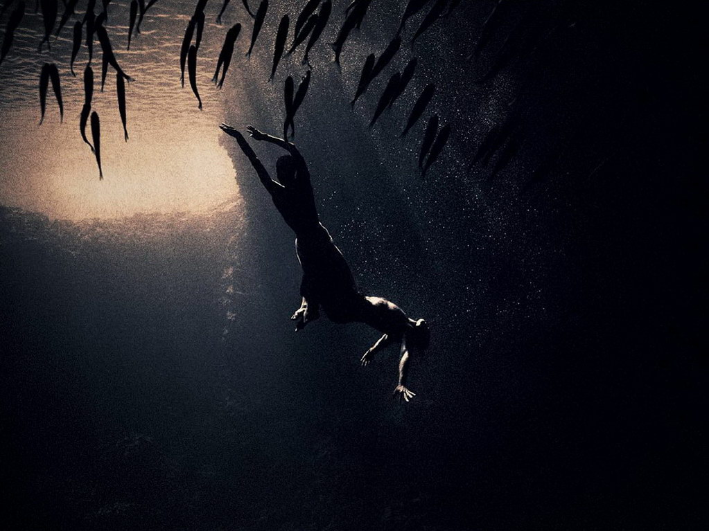 Croix de Lumière, Photo Ashes and snow No 37 