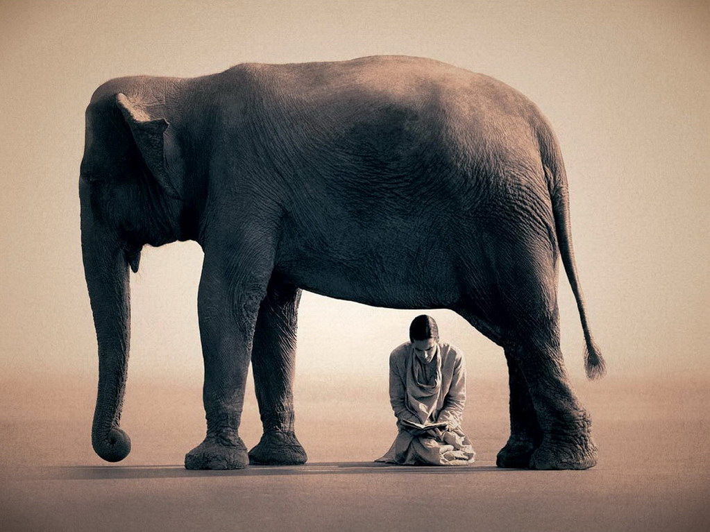 Croix de Lumière, Photo Ashes and snow No 39 