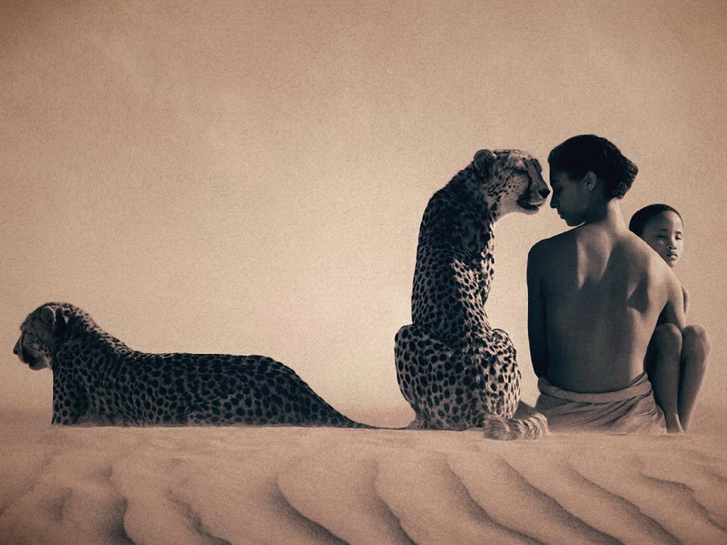 Croix de Lumière, Photo Ashes and snow No 40 