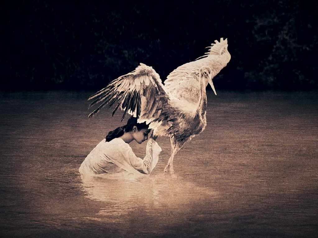 Croix de Lumière, Photo Ashes and snow No 41 