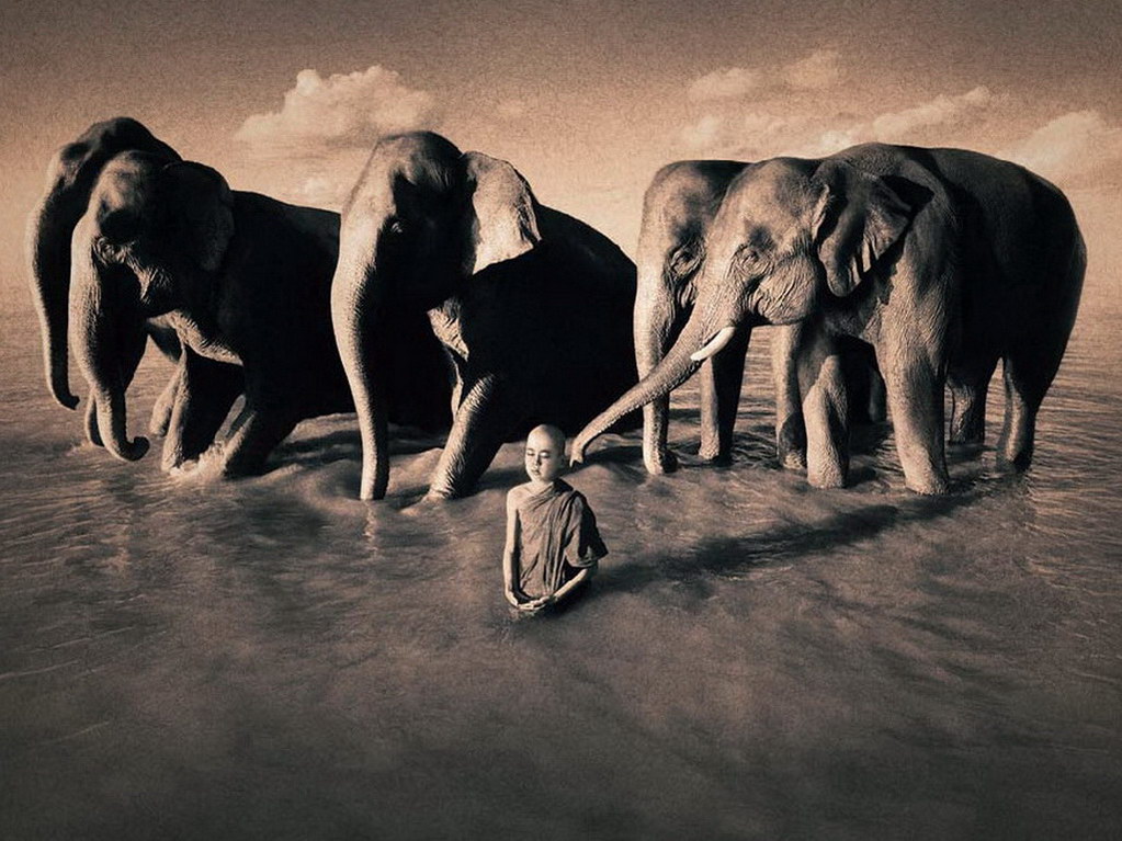 Croix de Lumière, Photo Ashes and snow No 46 