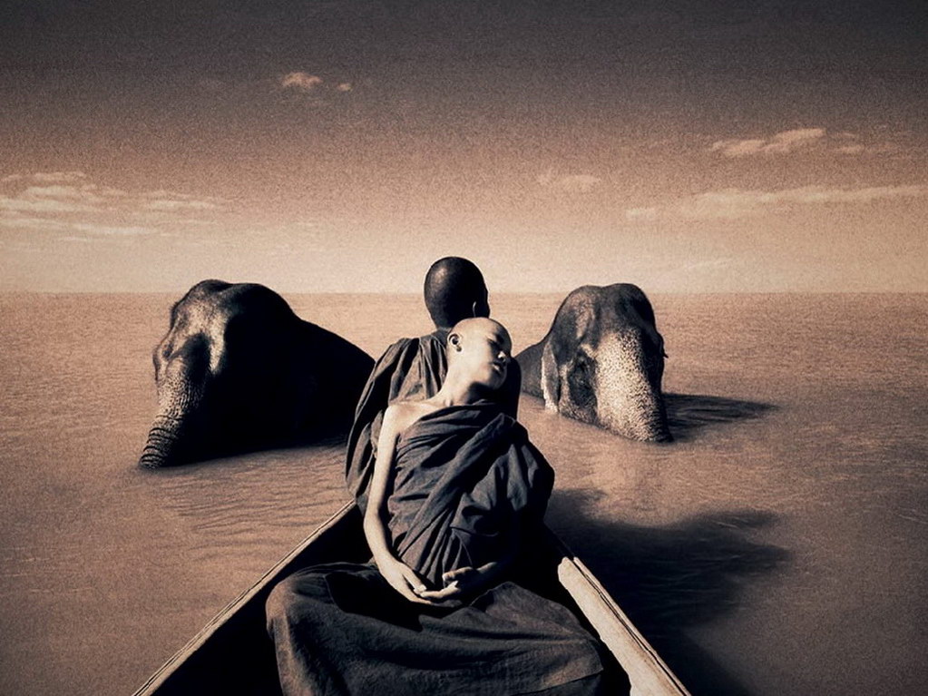 Croix de Lumière, Photo Ashes and snow No 47 