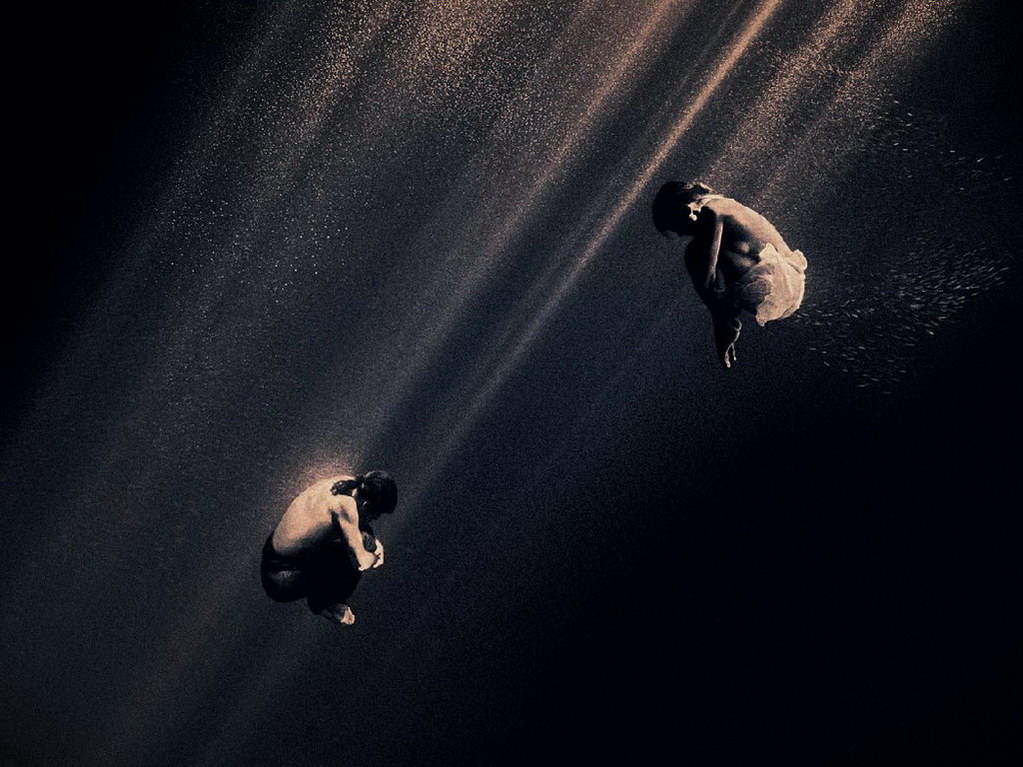 Croix de Lumière, Photo Ashes and snow No 48 