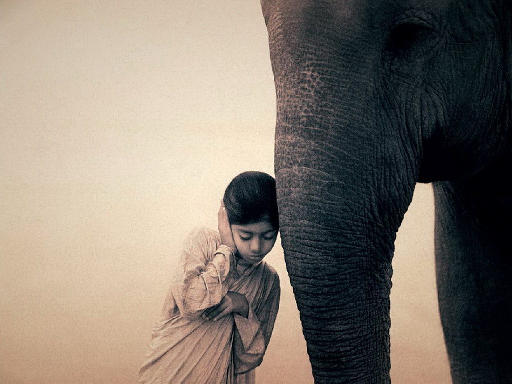 Croix de Lumière, Photo Ashes and snow No 49 