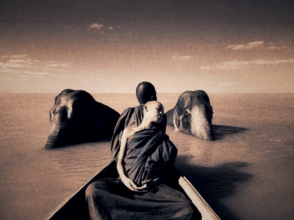 Croix de Lumière, Photo Ashes and snow No 50 