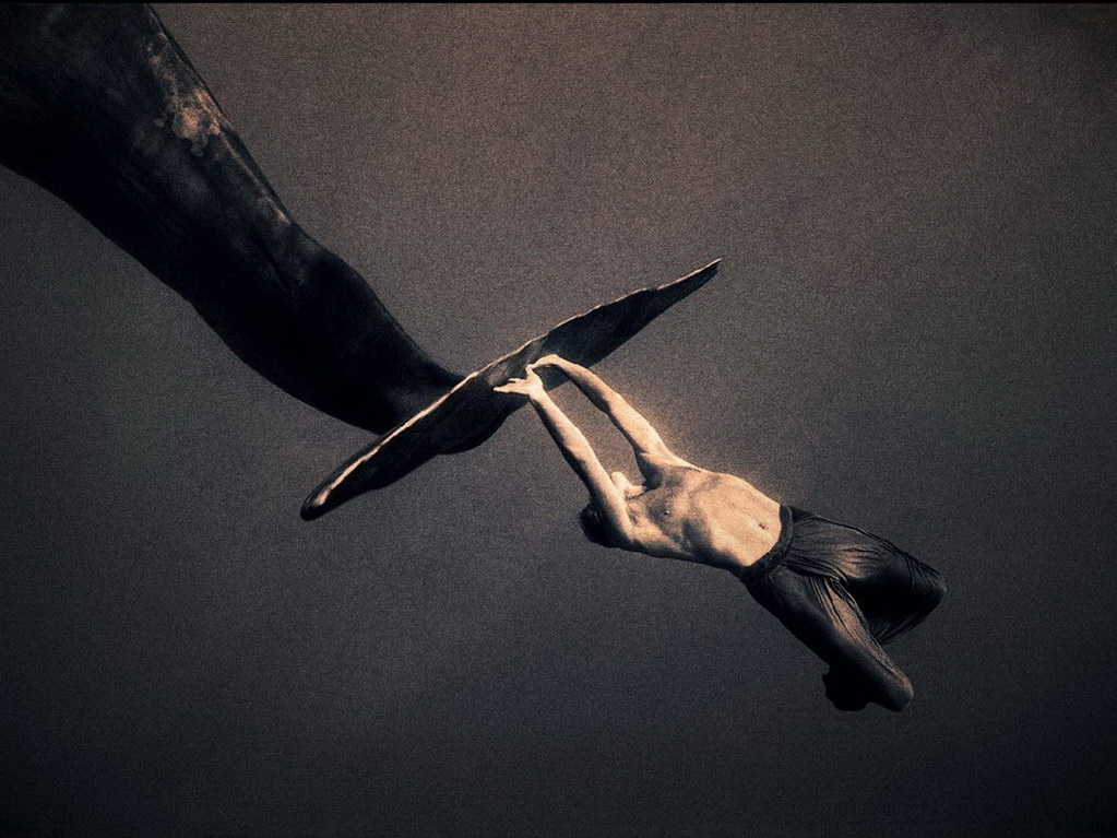 Croix de Lumière, Photo Ashes and snow No 53 