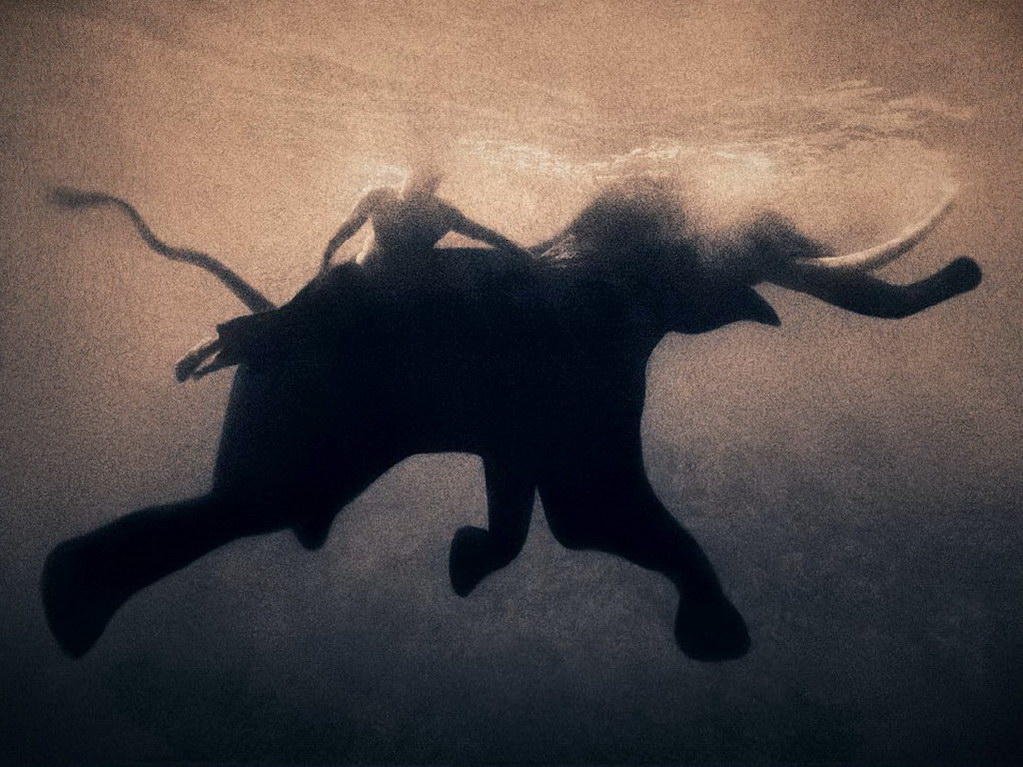 Croix de Lumière, Photo Ashes and snow No 54 