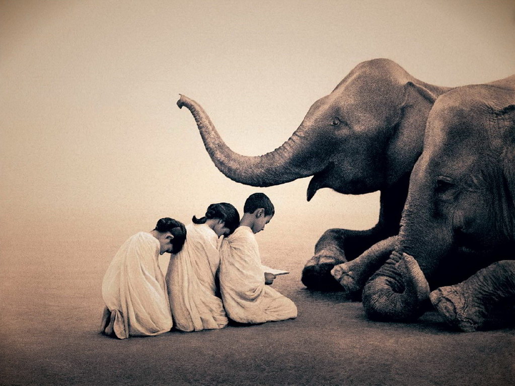 Croix de Lumière, Photo Ashes and snow No 56 