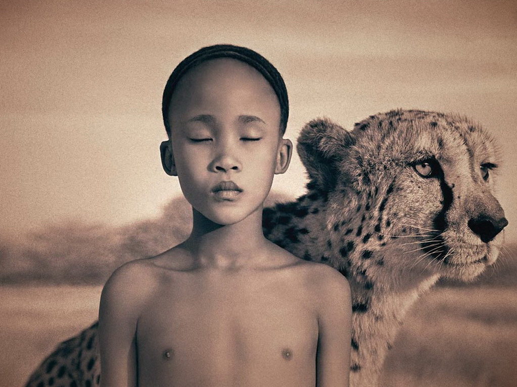 Croix de Lumière, Photo Ashes and snow No 59 