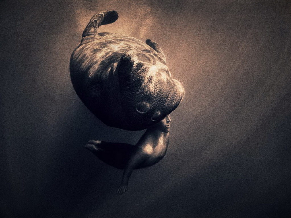 Croix de Lumière, Photo Ashes and snow No 010 