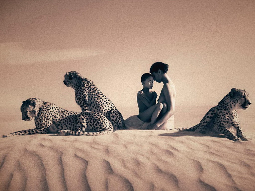 Croix de Lumière, Photo Ashes and snow No 61 