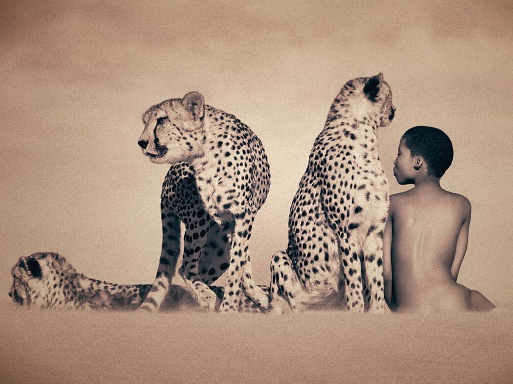 Croix de Lumière, Photo Ashes and snow No 62 