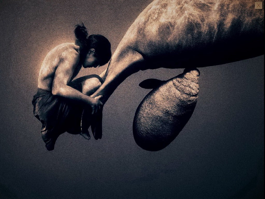 Croix de Lumière, Photo Ashes and snow No 63 