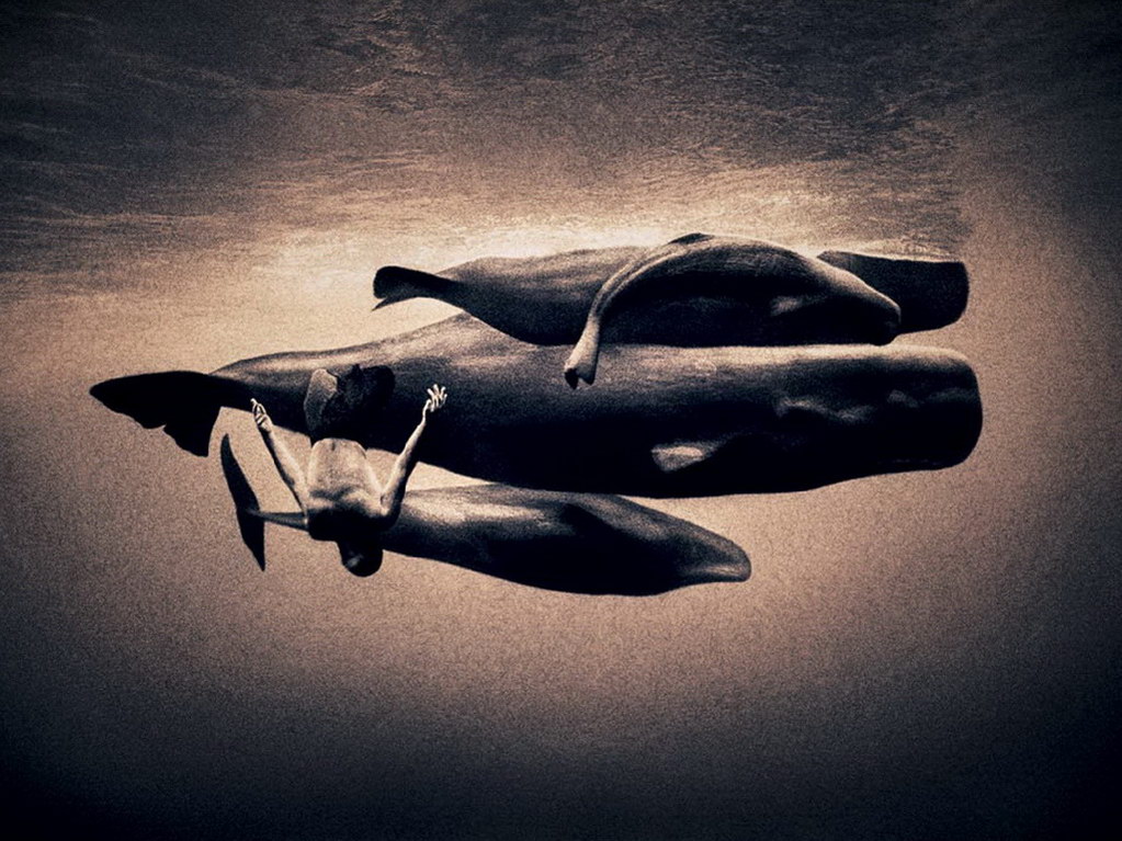 Croix de Lumière, Photo Ashes and snow No 64 