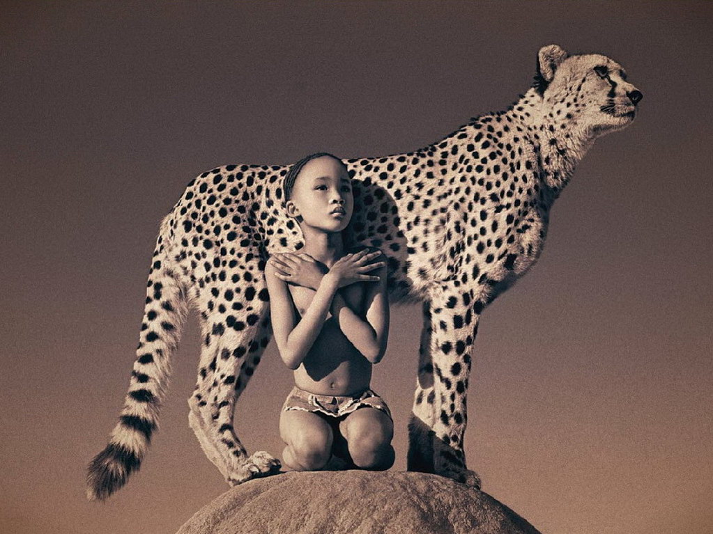 Croix de Lumière, Photo Ashes and snow No 65 