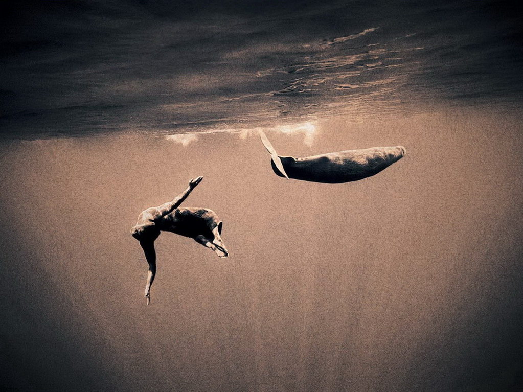 Croix de Lumière, Photo Ashes and snow No 66 