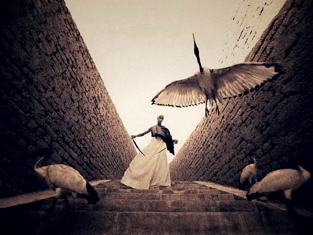 Croix de Lumière, Photo Ashes and snow No 67 