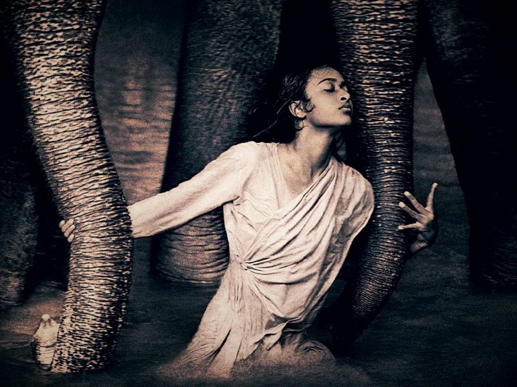 Croix de Lumière, Photo Ashes and snow No 68 