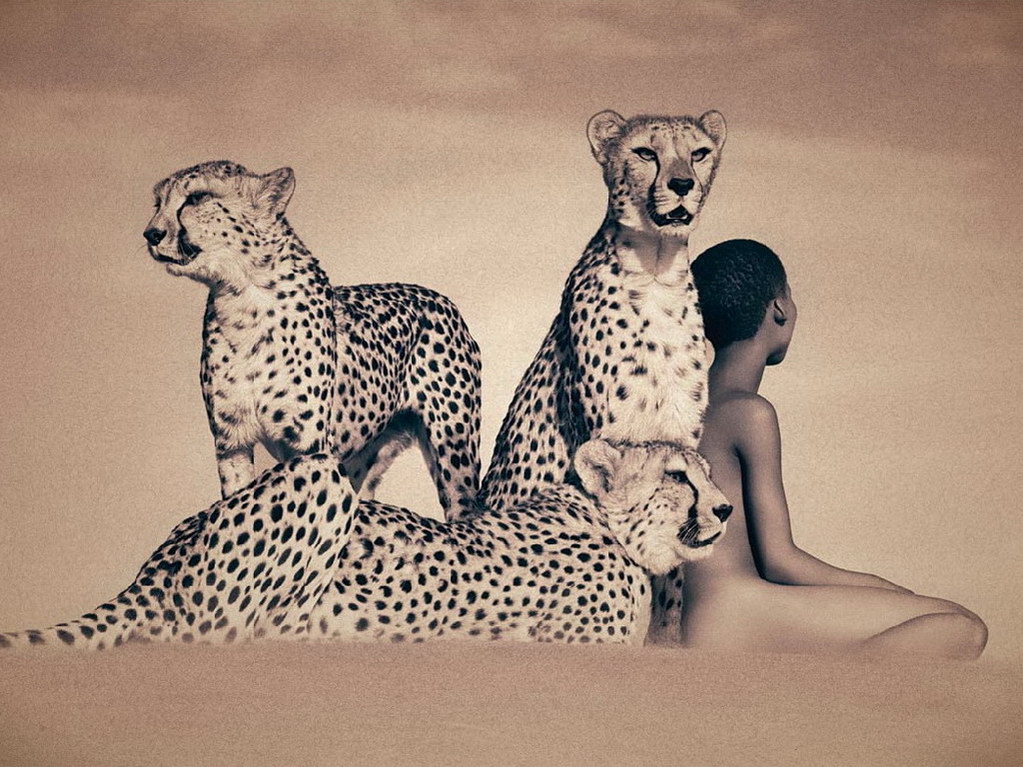 Cliquez sur la Photo pour quitter le Diaporama et Ouvrir la Photo correspondante...