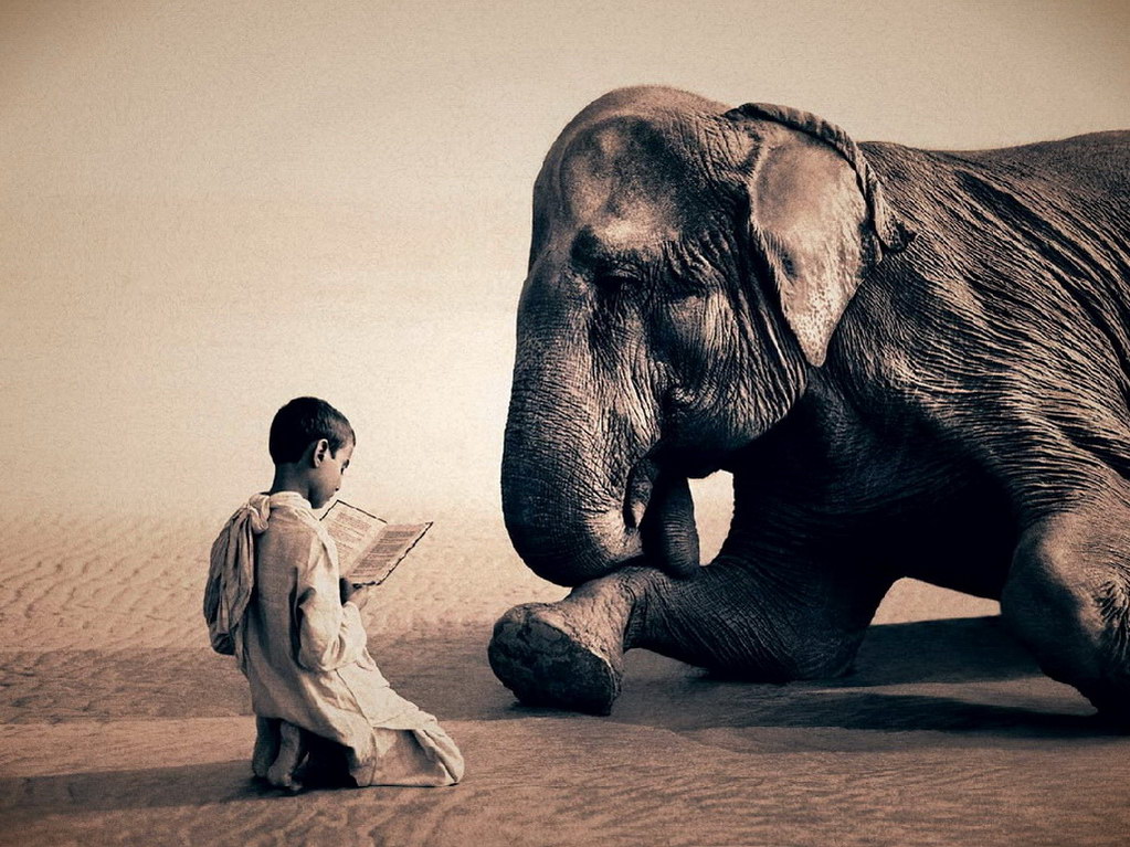 Croix de Lumière, Photo Ashes and snow No 75 