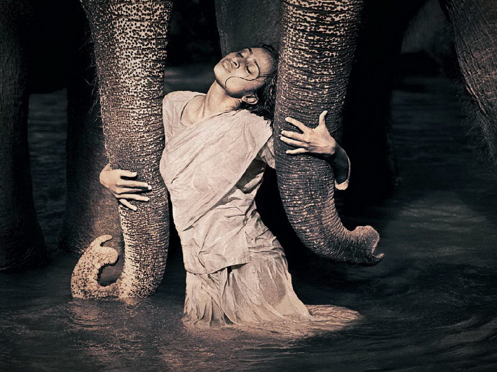 Croix de Lumière, Photo Ashes and snow No 76 