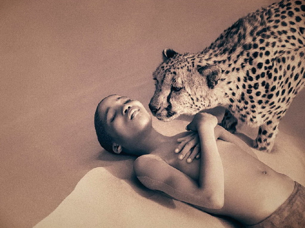 Croix de Lumière, Photo Ashes and snow No 79 