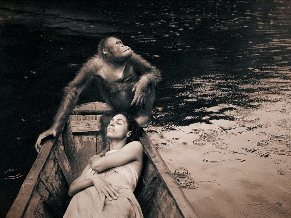 Croix de Lumière, Photo Ashes and snow No 010 