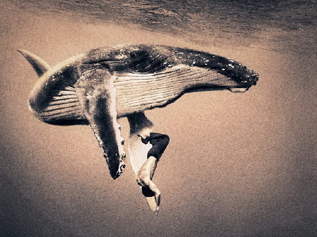 Croix de Lumière, Photo Ashes and snow No 81 