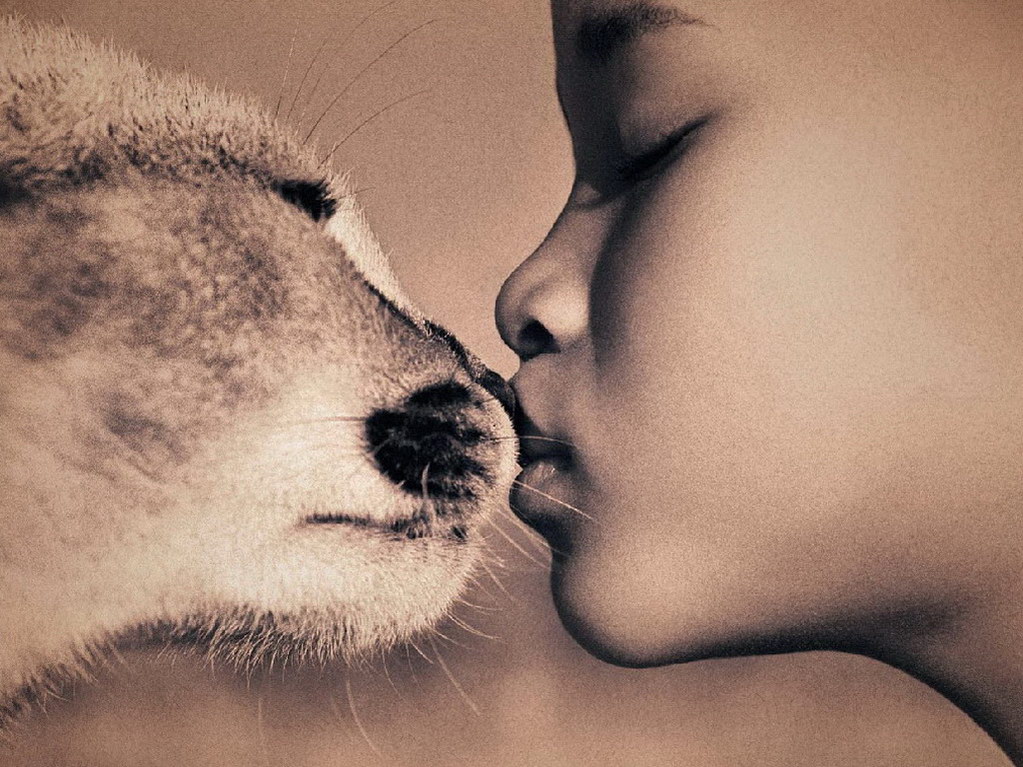 Croix de Lumière, Photo Ashes and snow No 84 