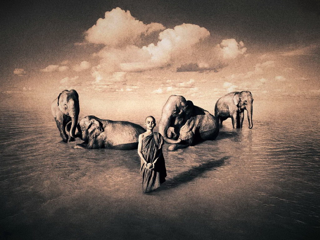 Croix de Lumière, Photo Ashes and snow No 86 