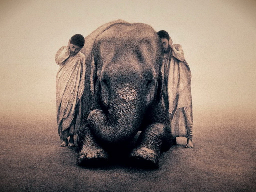 Croix de Lumière, Photo Ashes and snow No 88 