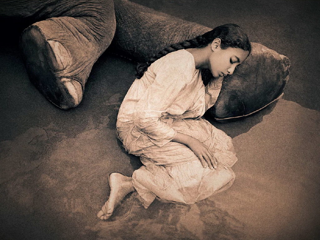 Croix de Lumière, Photo Ashes and snow No 89 