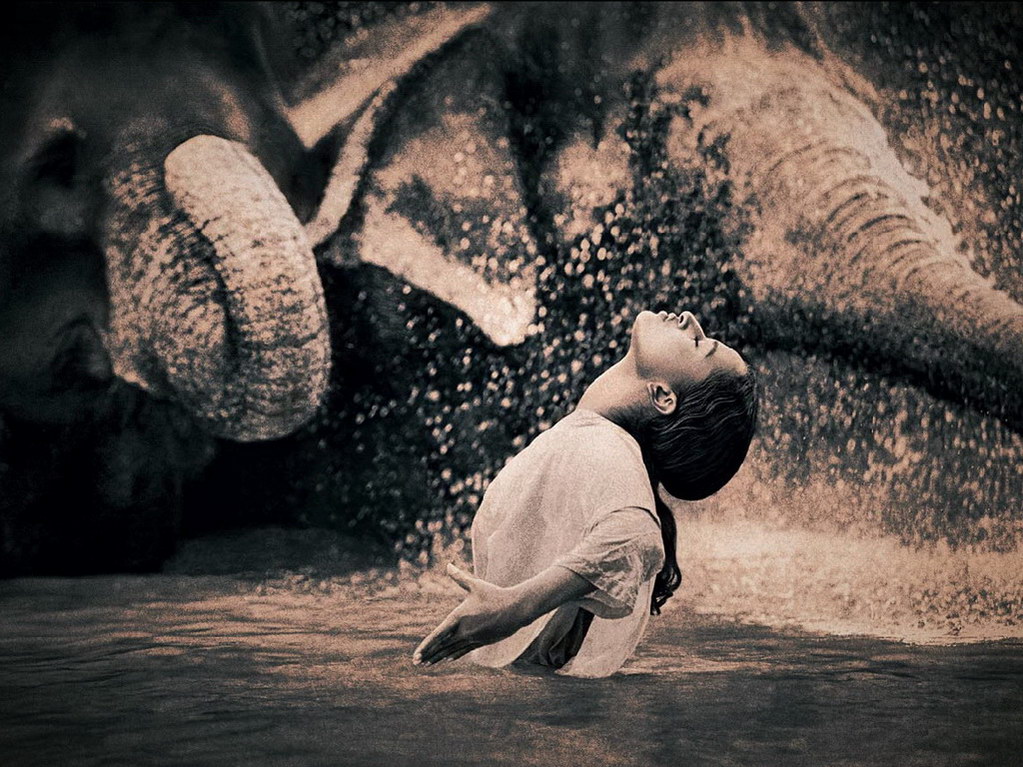 Croix de Lumière, Photo Ashes and snow No 090 