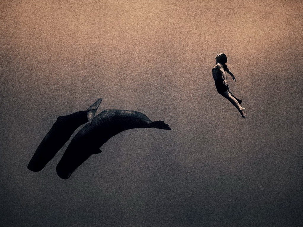 Croix de Lumière, Photo Ashes and snow No 92 