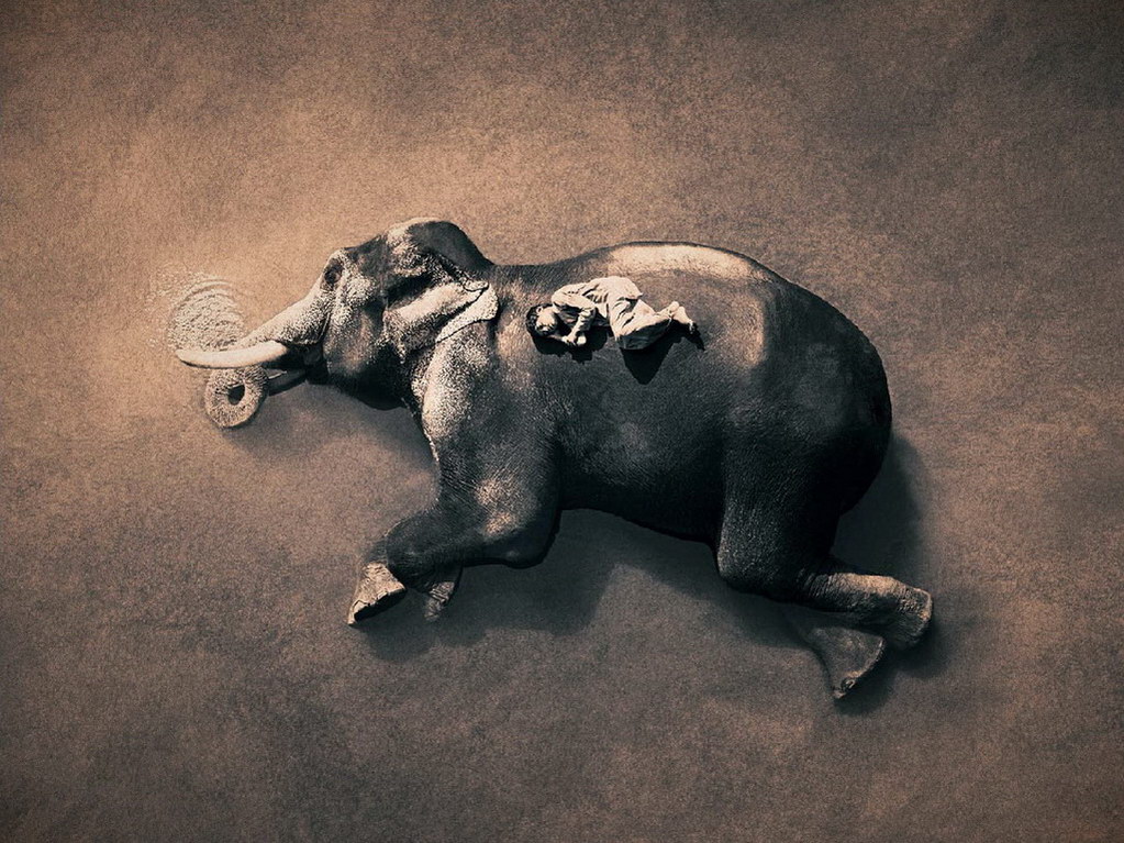 Croix de Lumière, Photo Ashes and snow No 93 