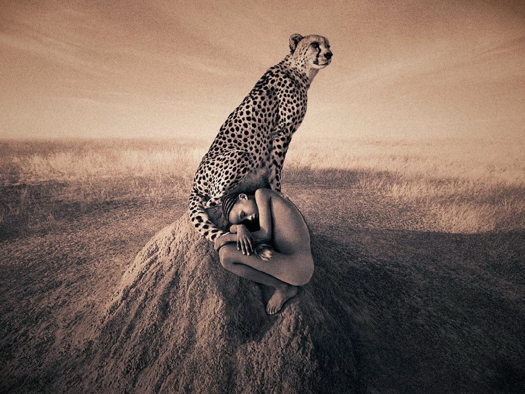 Cliquez sur la Photo pour quitter le Diaporama et Ouvrir la Photo correspondante...