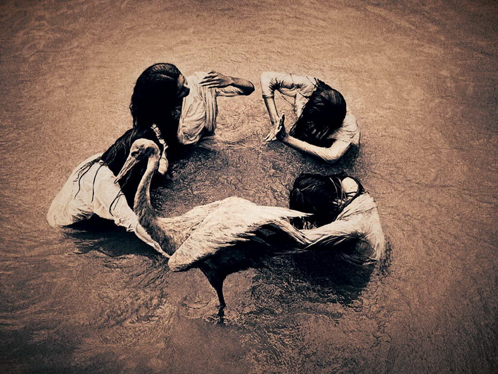 Croix de Lumière, Photo Ashes and snow No 97 