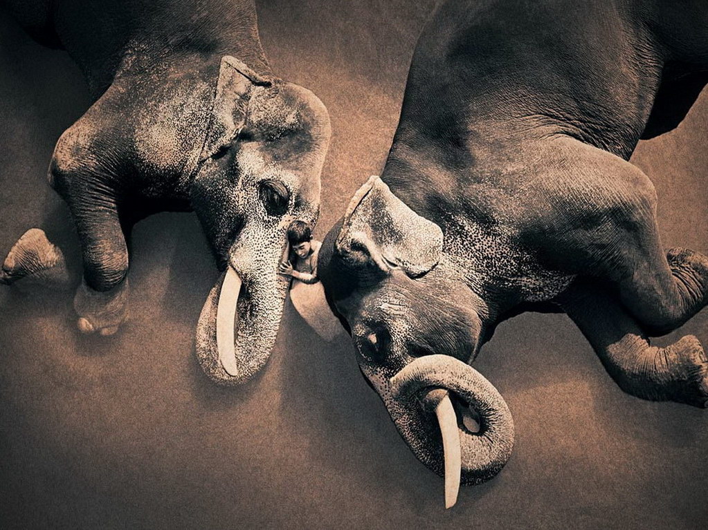 Croix de Lumière, Photo Ashes and snow No 98 