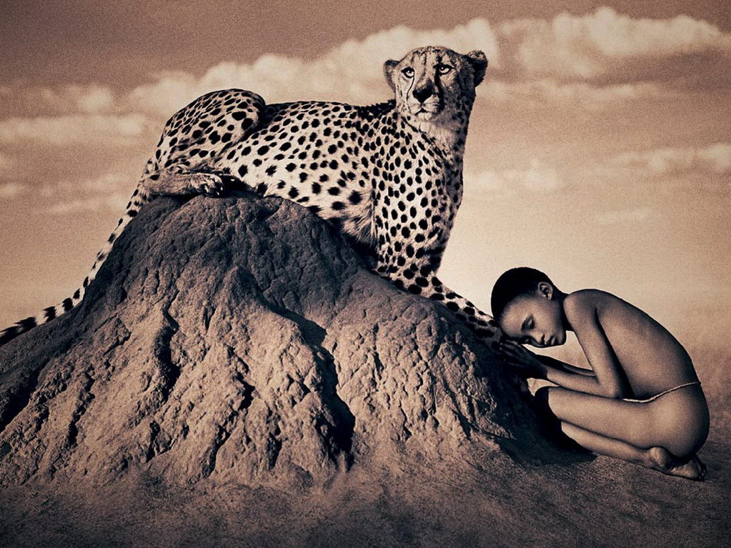 Croix de Lumière, Photo Ashes and snow No 100 